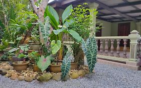 Hidden Homestay